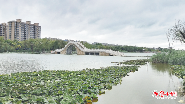 红莲湖水位上涨30厘米 部分桥面被水淹没