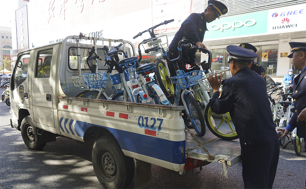 执法队员将违规停放的共享单车搬上执法车.jpg
