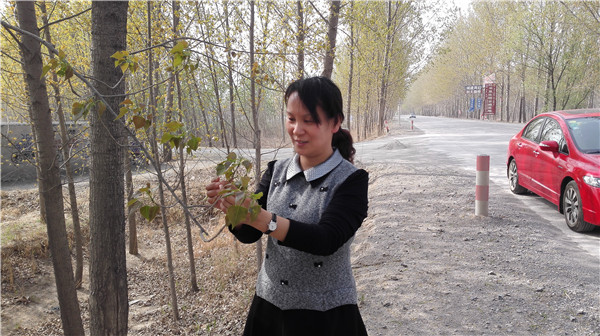 记者专访2018滨州市最美基层林业人张丽娟