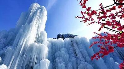 QQ截图20190102163435.jpg