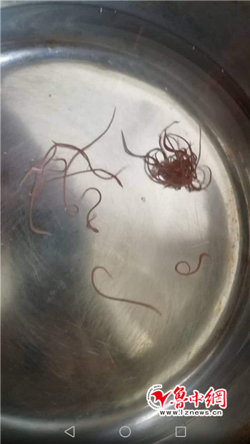 淄博:居民用水惊现"红线虫" 自来水公司称管道污染所致