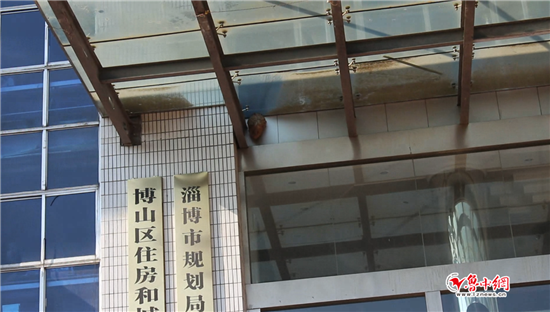 博山:马蜂"入驻"住建局大门 消防官兵10分钟摘除